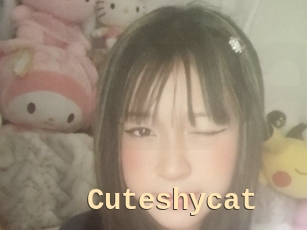 Cuteshycat