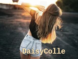 DaisyColle