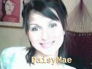 Daisy_Mae