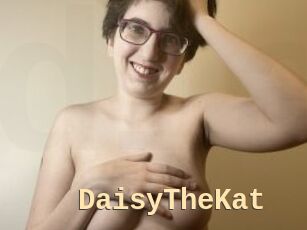 DaisyTheKat