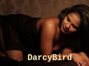 DarcyBird