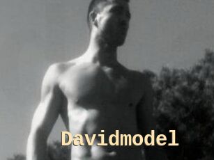 Davidmodel