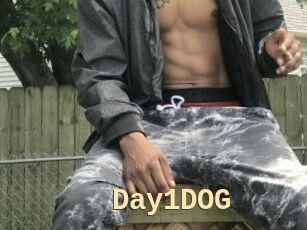 Day1DOG