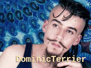 DominicTerrier