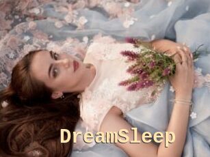 DreamSleep