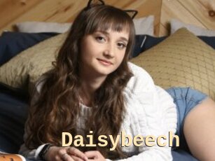 Daisybeech