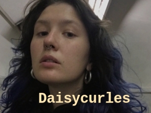 Daisycurles