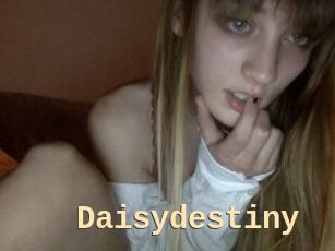 Daisydestiny