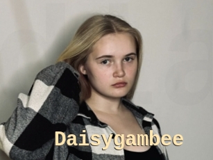 Daisygambee