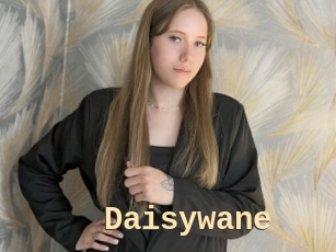 Daisywane