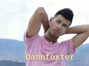 Damnfoxter