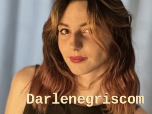 Darlenegriscom