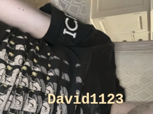 David1123