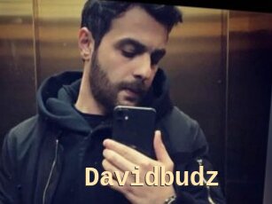 Davidbudz