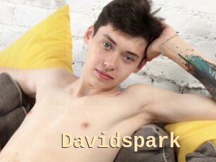 Davidspark