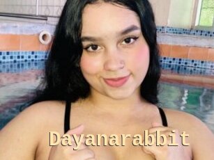 Dayanarabbit