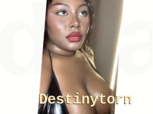 Destinytorn