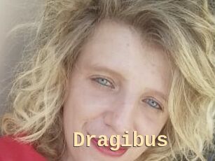 Dragibus