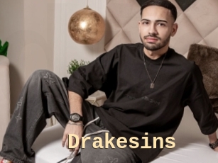 Drakesins