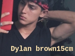 Dylan_brown15cm