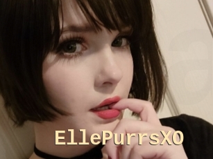 EllePurrsXO