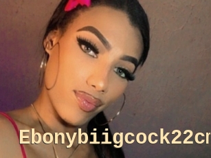 Ebonybiigcock22cm