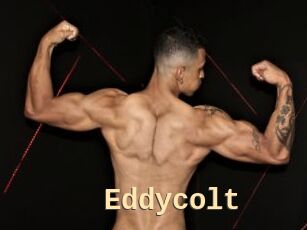 Eddycolt