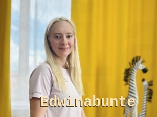 Edwinabunte