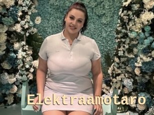 Elektraamotaro