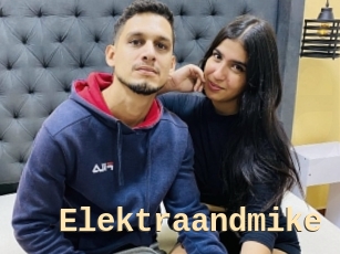 Elektraandmike