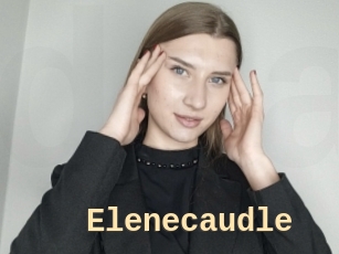 Elenecaudle