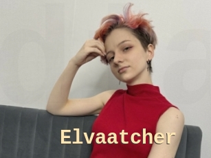 Elvaatcher