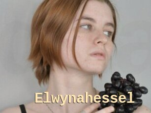 Elwynahessel