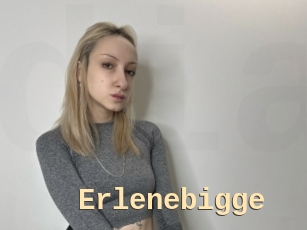 Erlenebigge