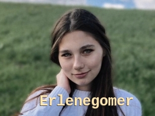 Erlenegomer