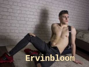 Ervinbloom