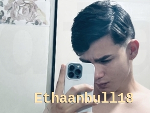 Ethaanbull18