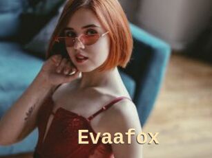 Evaafox