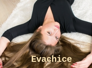 Evachice