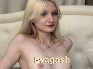 Evagash