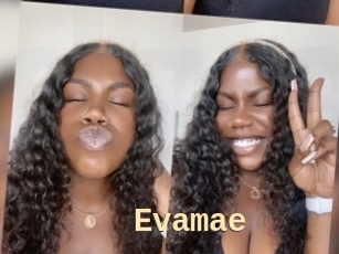 Evamae