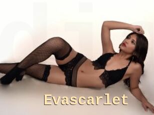 Evascarlet