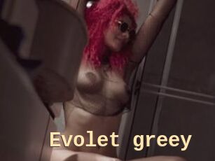 Evolet_greey