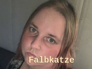 Falbkatze