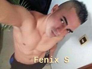 Fenix_S