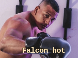 Falcon_hot