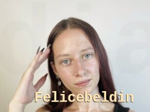 Felicebeldin