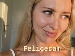 Felicecam