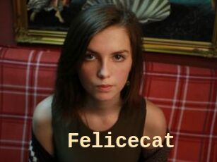 Felicecat