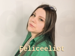 Feliceeliot